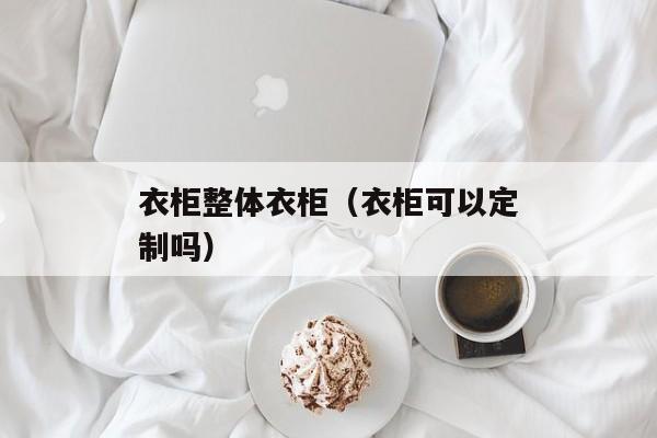 衣柜整体衣柜（衣柜可以定制吗）