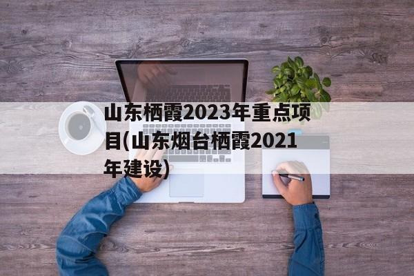 山东栖霞2023年重点项目(山东烟台栖霞2021年建设)