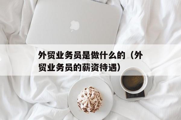 外贸业务员是做什么的（外贸业务员的薪资待遇）