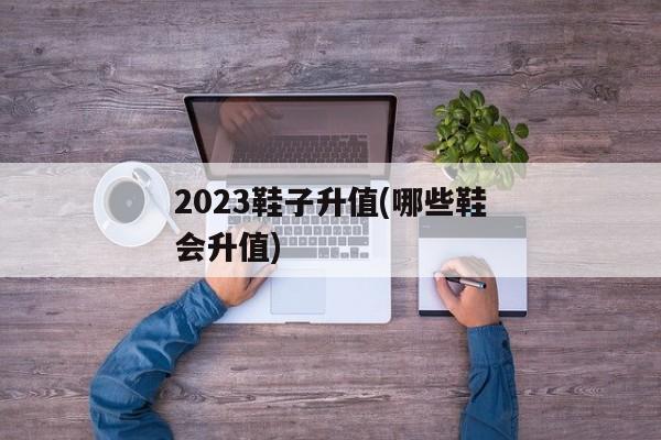 2023鞋子升值(哪些鞋会升值)