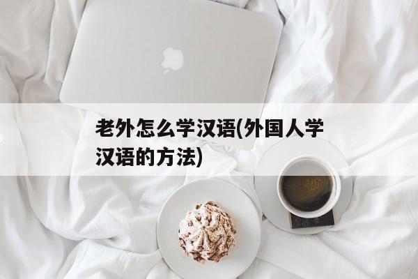 老外怎么学汉语(外国人学汉语的方法)