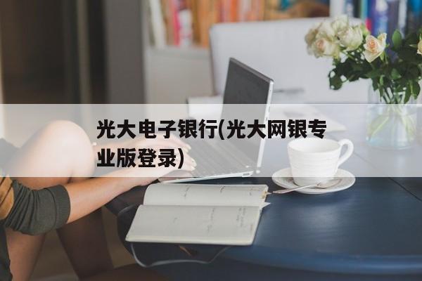 光大电子银行(光大网银专业版登录)