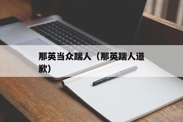 那英当众踹人（那英踹人道歉）