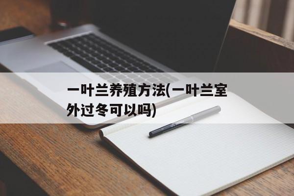 一叶兰养殖方法(一叶兰室外过冬可以吗)