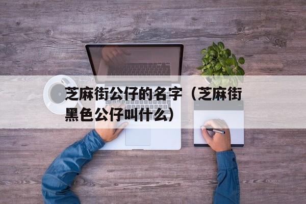 芝麻街公仔的名字（芝麻街黑色公仔叫什么）