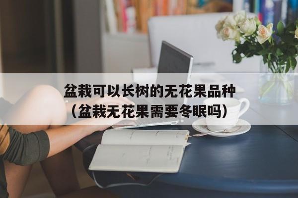 盆栽可以长树的无花果品种（盆栽无花果需要冬眠吗）