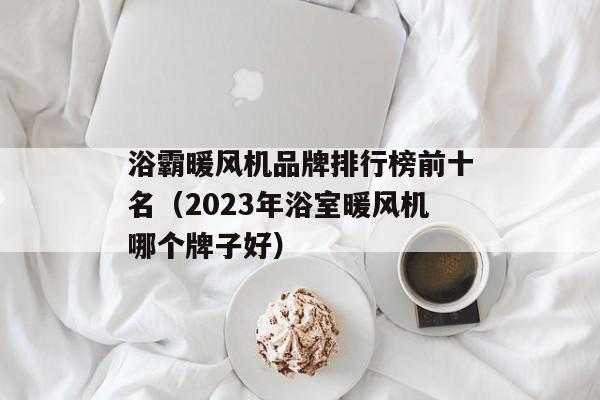 浴霸暖风机品牌排行榜前十名（2023年浴室暖风机哪个牌子好）