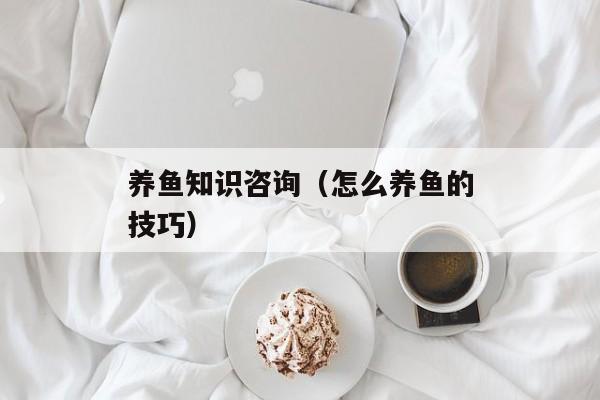 养鱼知识咨询（怎么养鱼的技巧）