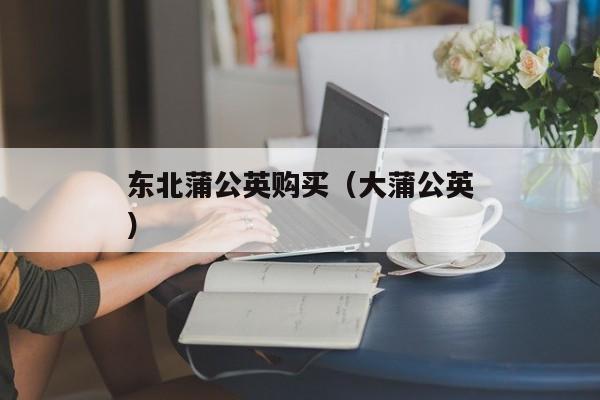 东北蒲公英购买（大蒲公英）