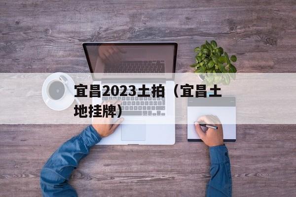 宜昌2023土拍（宜昌土地挂牌）