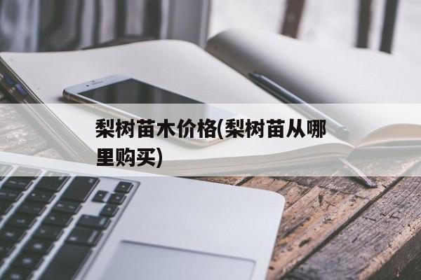 梨树苗木价格(梨树苗从哪里购买)