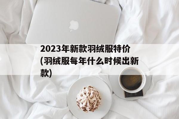 2023年新款羽绒服特价(羽绒服每年什么时候出新款)