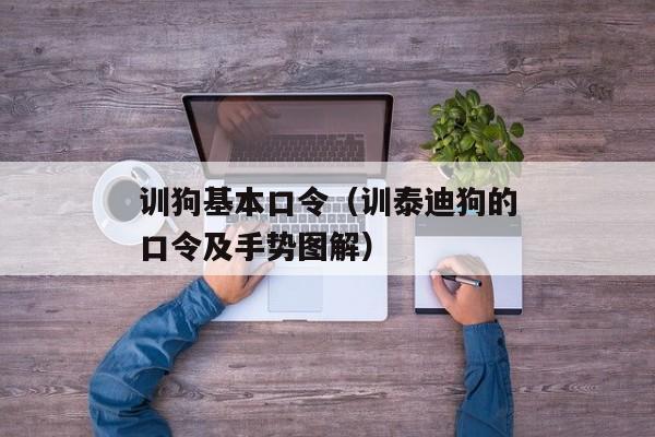 训狗基本口令（训泰迪狗的口令及手势图解）