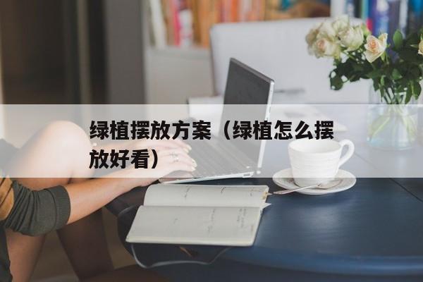 绿植摆放方案（绿植怎么摆放好看）