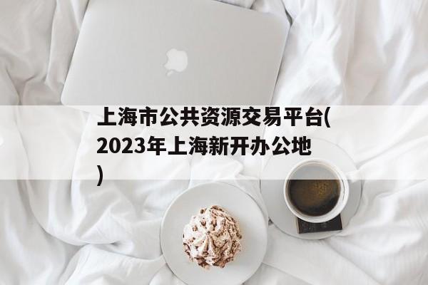 上海市公共资源交易平台(2023年上海新开办公地)