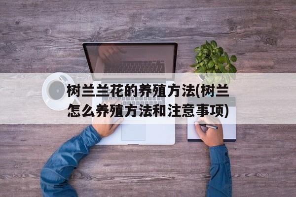 树兰兰花的养殖方法(树兰怎么养殖方法和注意事项)