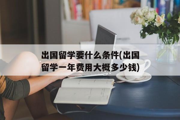 出国留学要什么条件(出国留学一年费用大概多少钱)