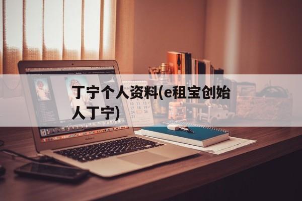 丁宁个人资料(e租宝创始人丁宁)