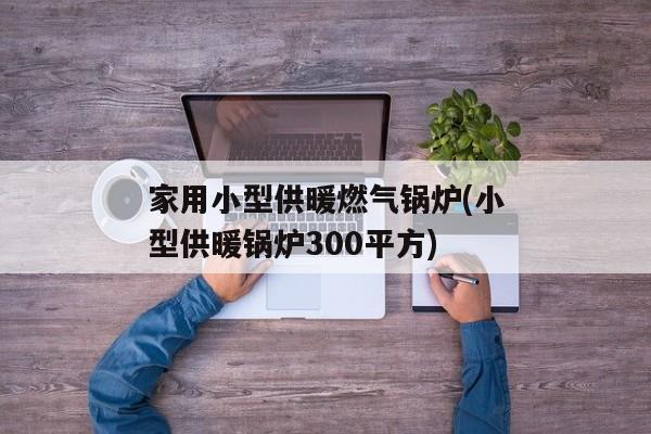 家用小型供暖燃气锅炉(小型供暖锅炉300平方)