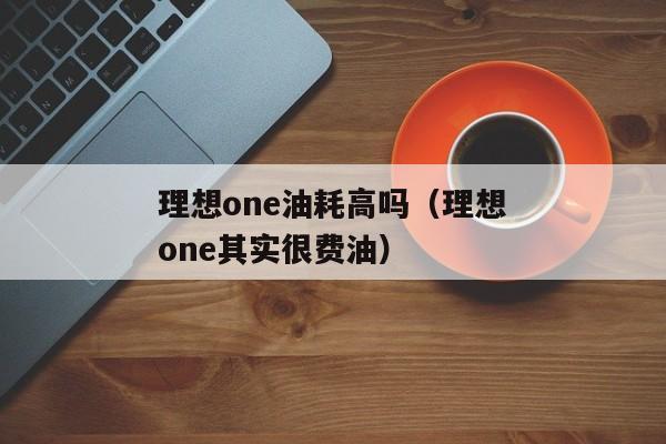 理想one油耗高吗（理想one其实很费油）