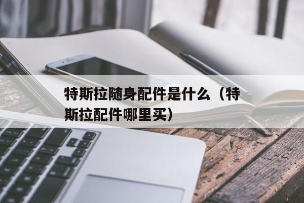 特斯拉随身配件是什么（特斯拉配件哪里买）