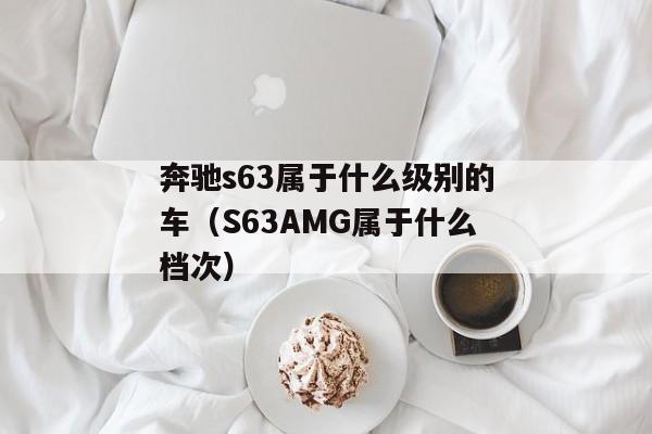 奔驰s63属于什么级别的车（S63AMG属于什么档次）