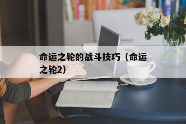 命运之轮的战斗技巧（命运之轮2）