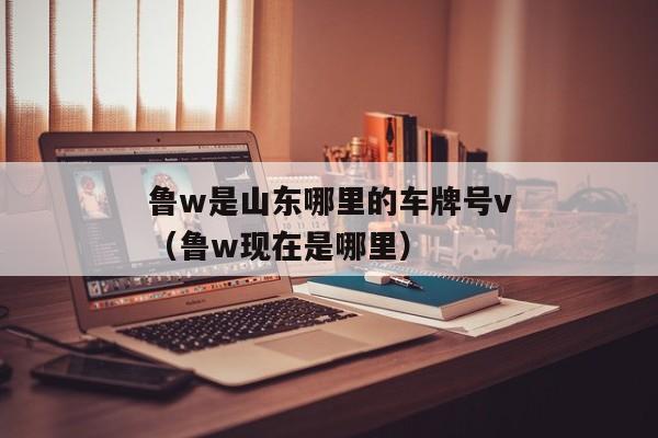 鲁w是山东哪里的车牌号v（鲁w现在是哪里）